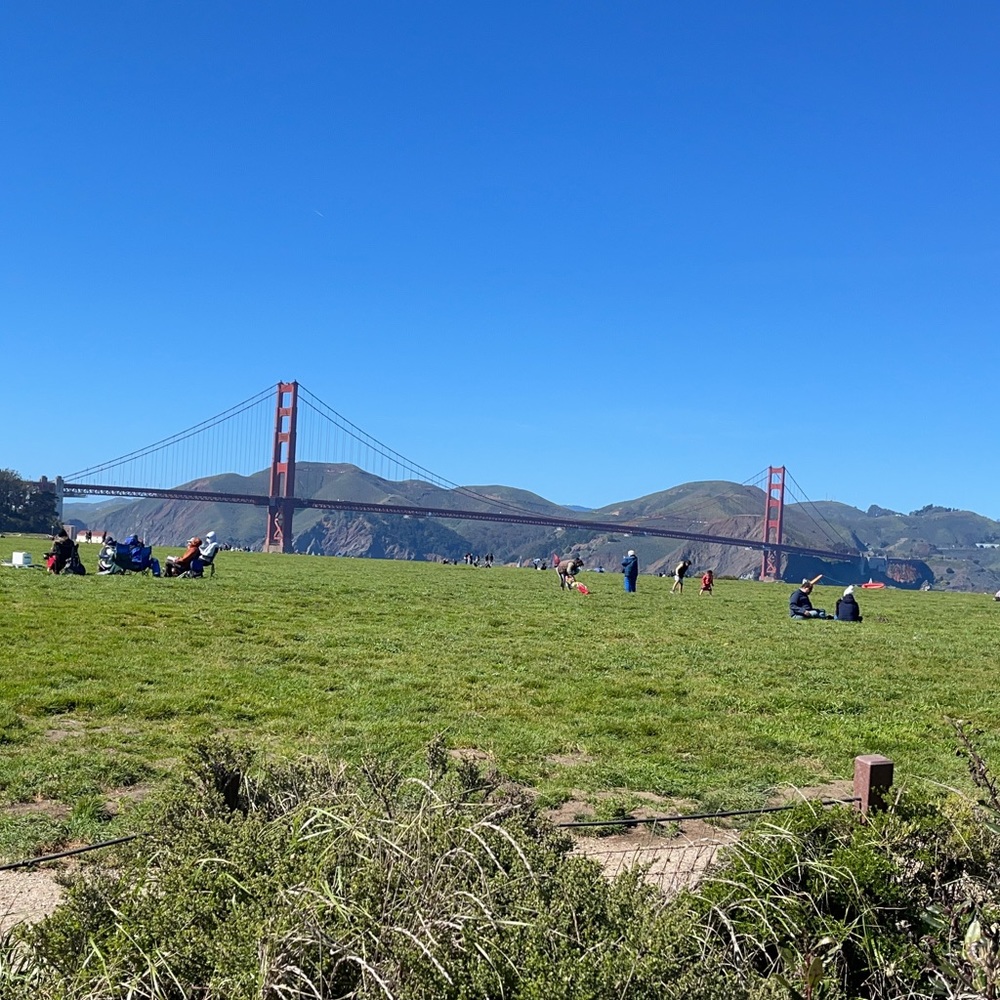 Meet your Posher, Erkam